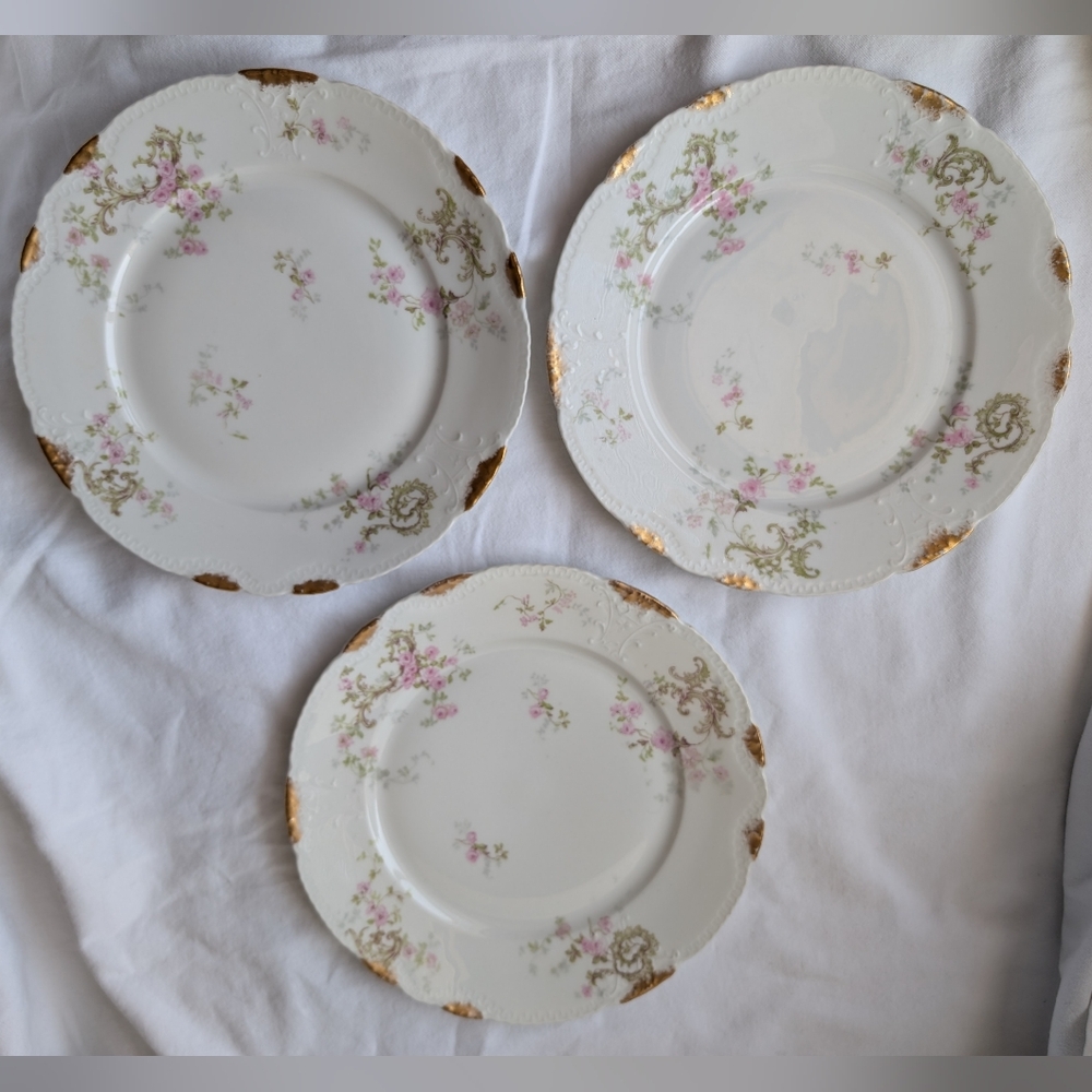 Theodore Haviland Limoges France Pink Floral Porcelain Dinner Plates - 3